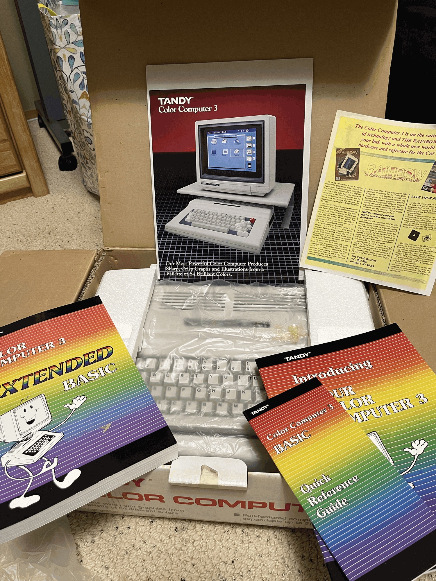 The boxed one. Still in its bag in the foam, with the Extended BASIC manual, the intro book, the quick reference guide, the Tandy flyer and a Rainbow magazine insert.